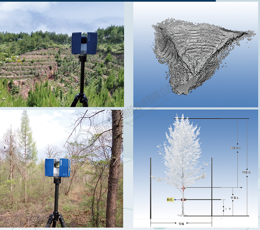 地形林业立面等应用